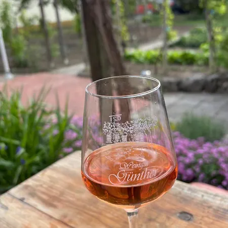 Bed & Breakfast Weingut Guenther Und Gaestezimmer Gimbsheim